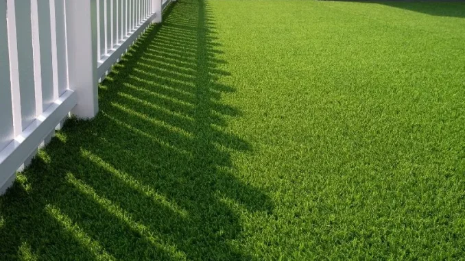 lawn care services lawn care services