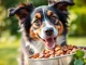 Dog enjoying badlands ranch superfood complete from a bowl, symbolizing health and happiness.